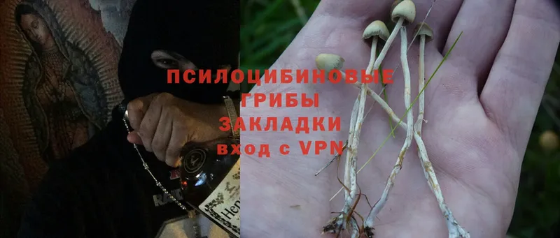 Псилоцибиновые грибы Psilocybine cubensis  блэк спрут онион  Мантурово 